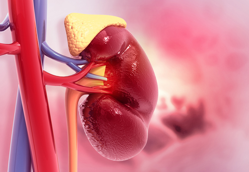 Benign & Malignant Adrenal Disease