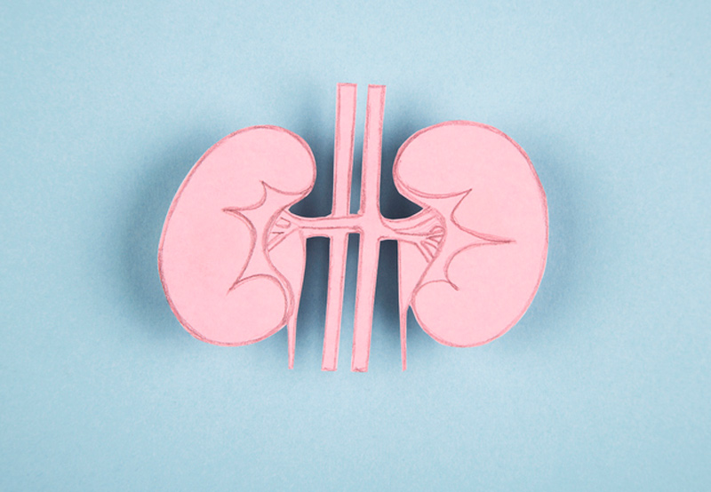 concept-of-kidneys-on-blue-background